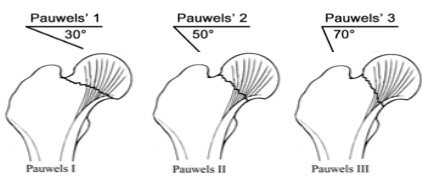 创伤骨科图片1.png 创伤骨科图片1.png