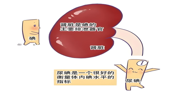 图片7.png 图片7.png